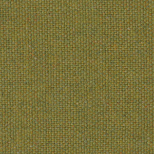 Lichen Green