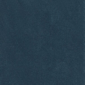 Shore Blue